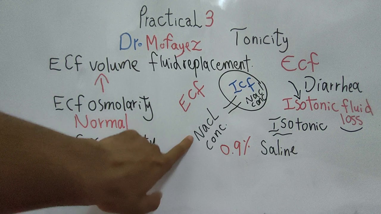 Practical 3 (Tonicity) First year Dr Mohamed Fayez