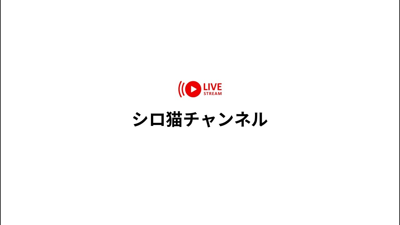 LINE時間になると猫いなくなりがちなーぜなぜ？
