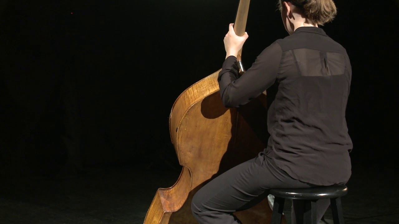 Figure 4.21 Double Bass Posture and Instrument Position