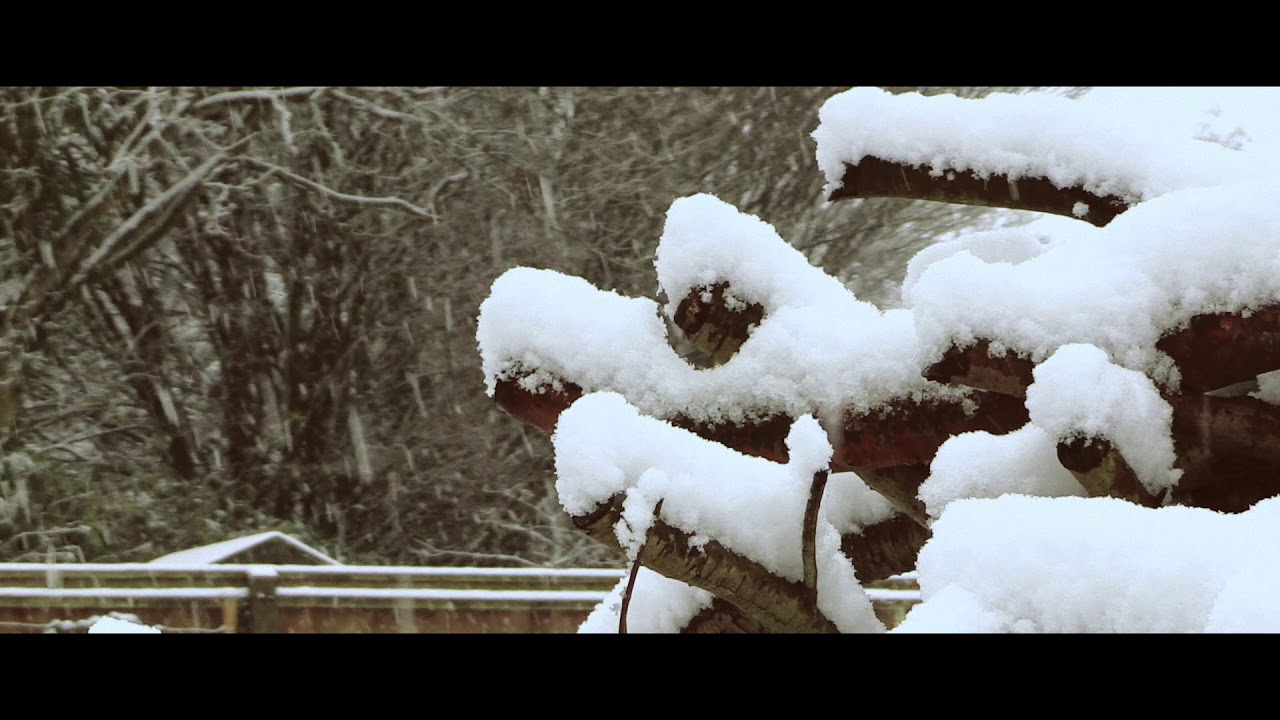 December Snow