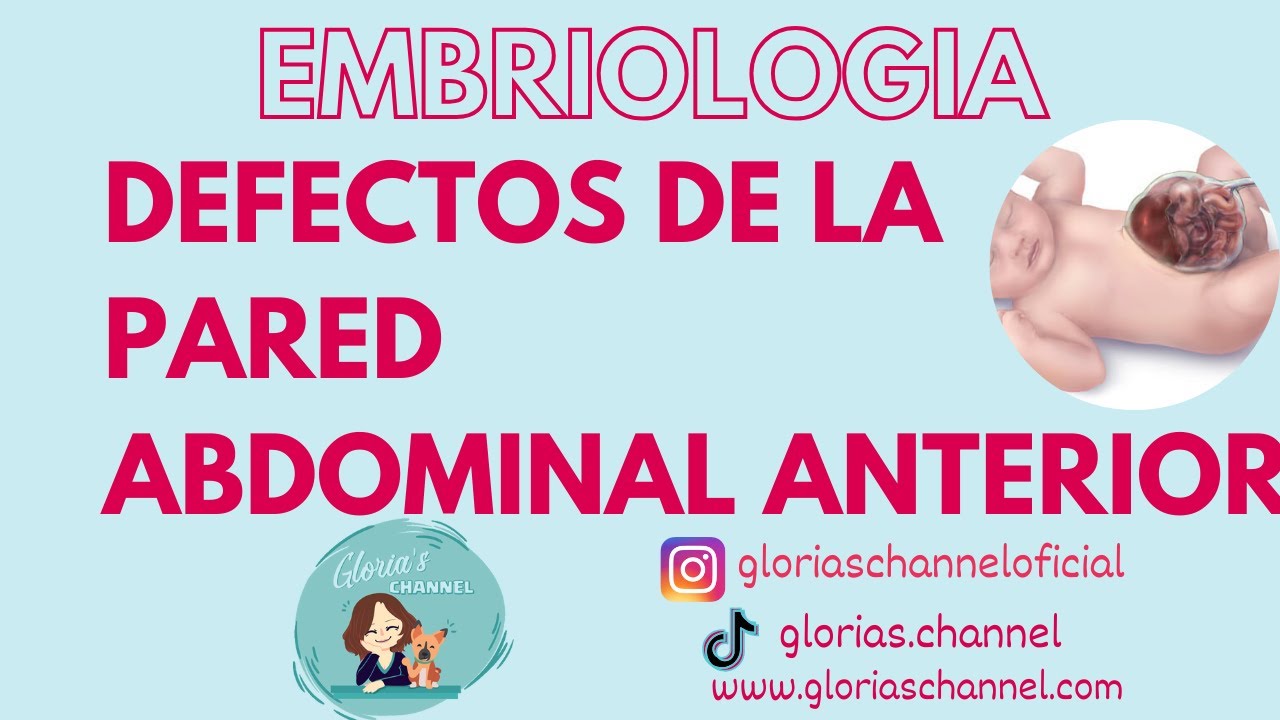 Embriología humana Medicina: Defectos de la pared abdominal anterior