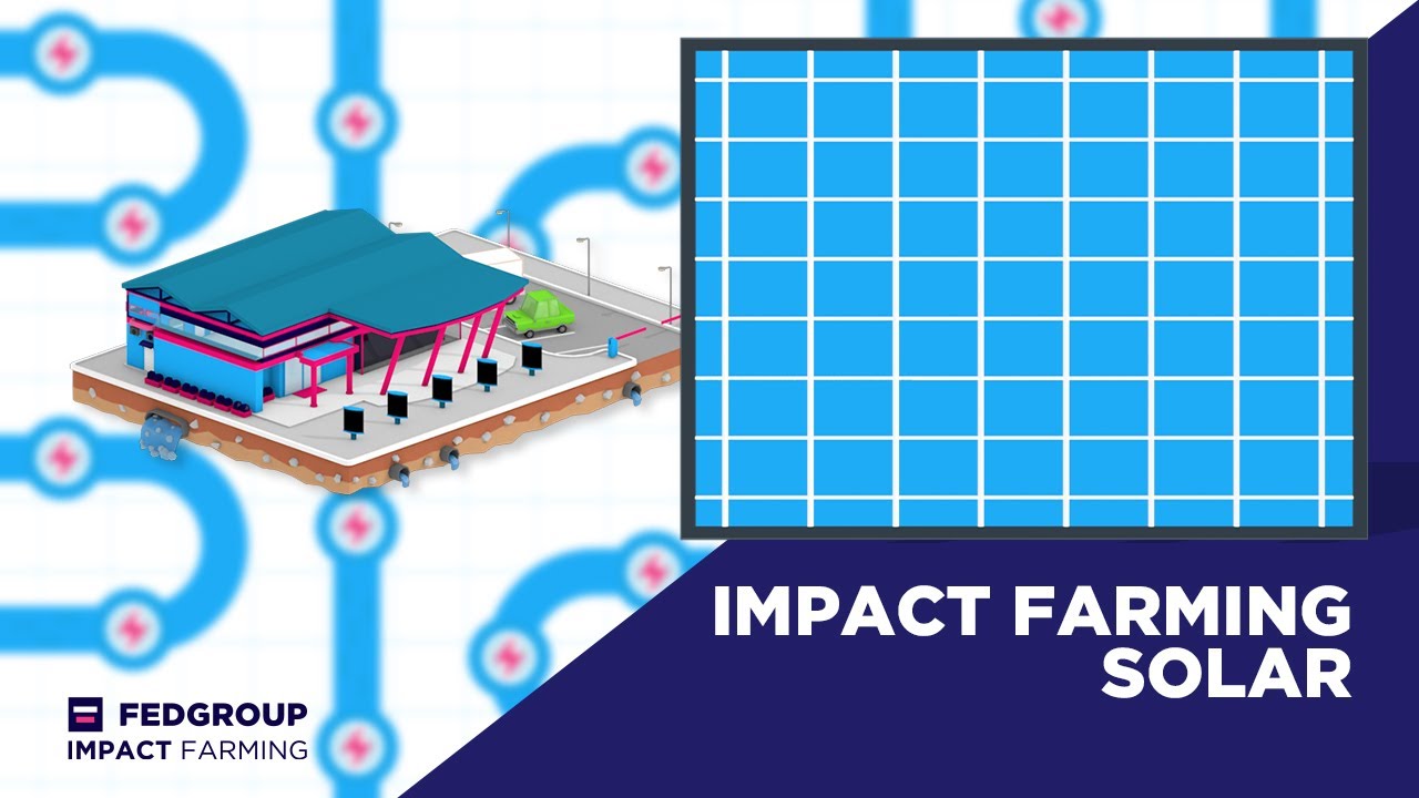Fedgroup Impact Farming | Solar panels explained