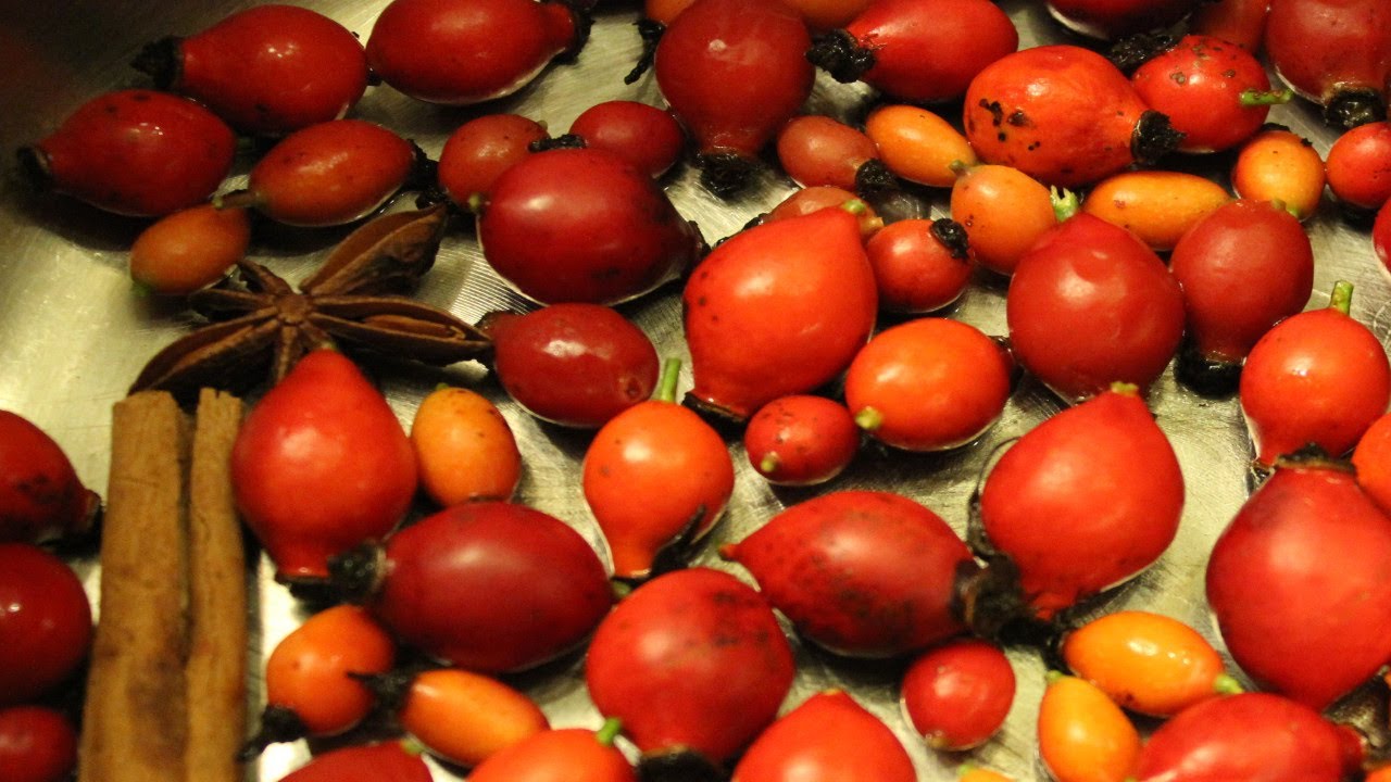 Rosehip Syrup Organic Recipe - Delicious Sauce & Traditional Medicine. Recette sirop baies de roses