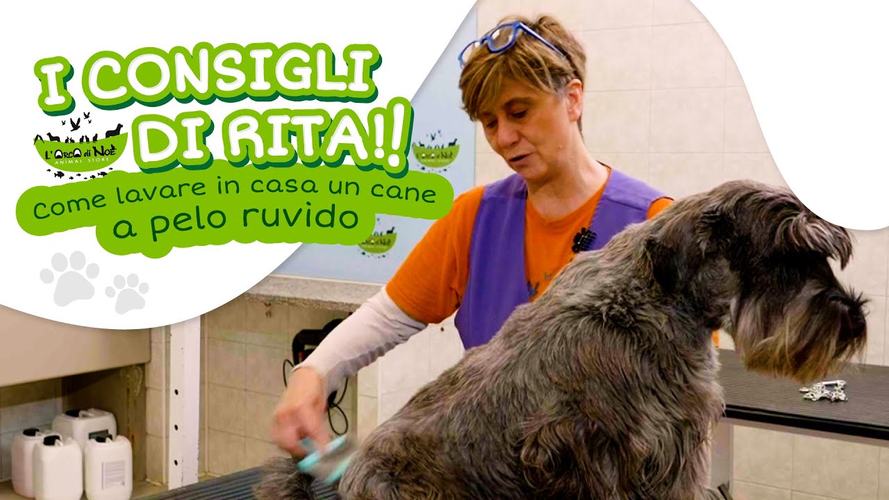 I Consigli di Rita - Tutorial su come lavare in casa un cane a pelo ruvido