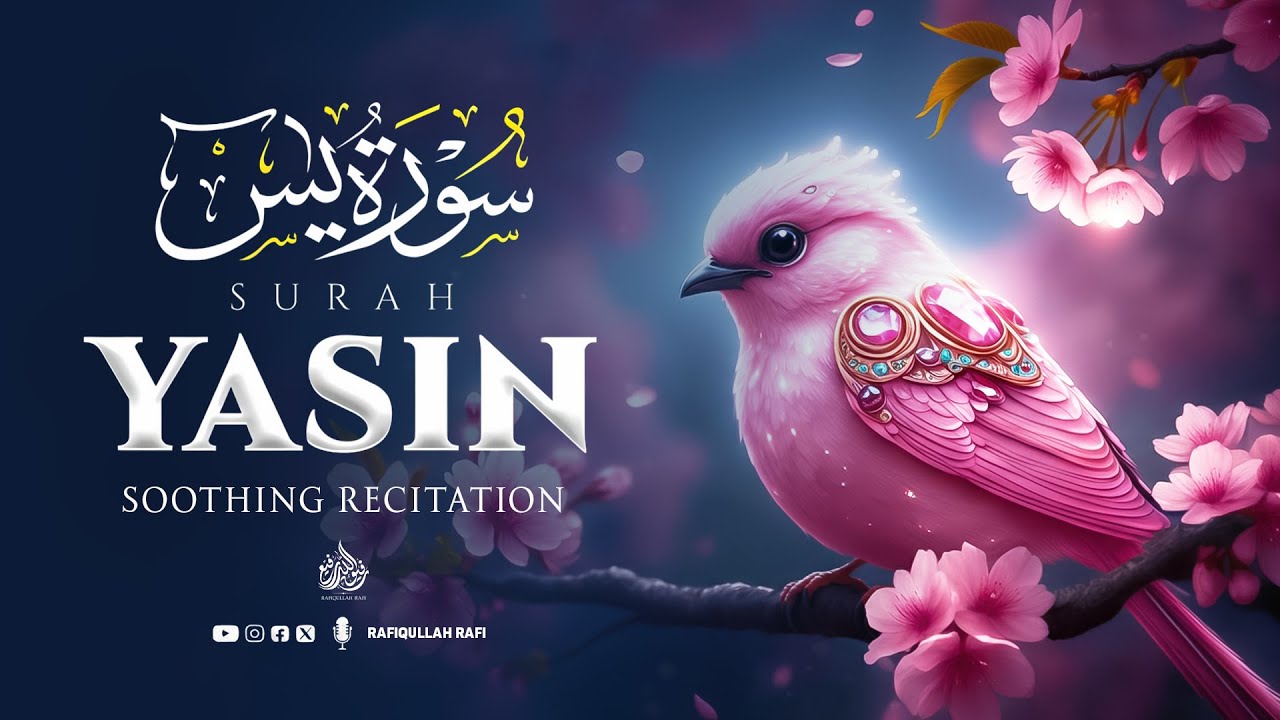Surah Yaseen (Yasin) سورة يس | Beautiful Quran for Deep Tranquility & Stress Relief #surahyasin