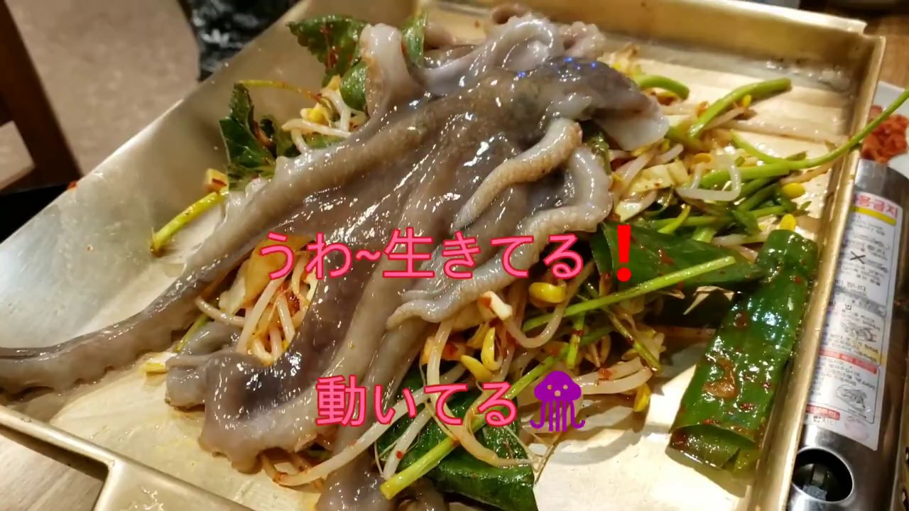 (韓国グルメツアー)ナッチポックン、鐘路3街で美味すぎるタコを食す😋