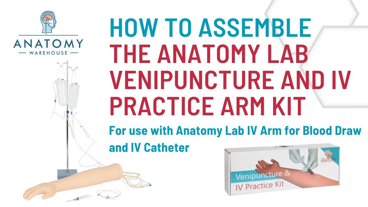 How to assemble the Anatomy Lab Venipuncture and IV Practice Arm Kit and Simulation Arm