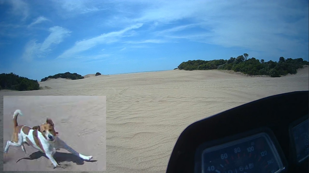 SALIENDO DE LA FRONTERA, ATAQUE DE PERRO FURIOSO, YAMAHA DT 125