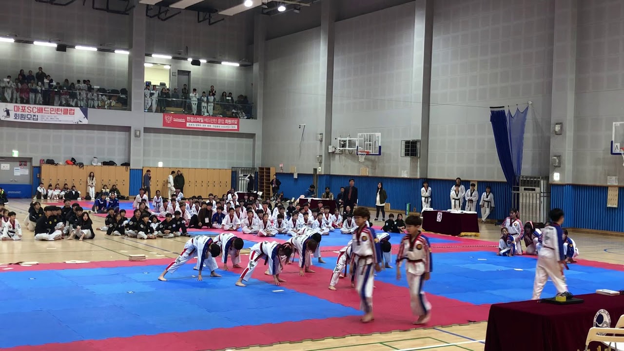 2018.11.03 해광 k타이거즈 경기대학교 총장기 시범공연