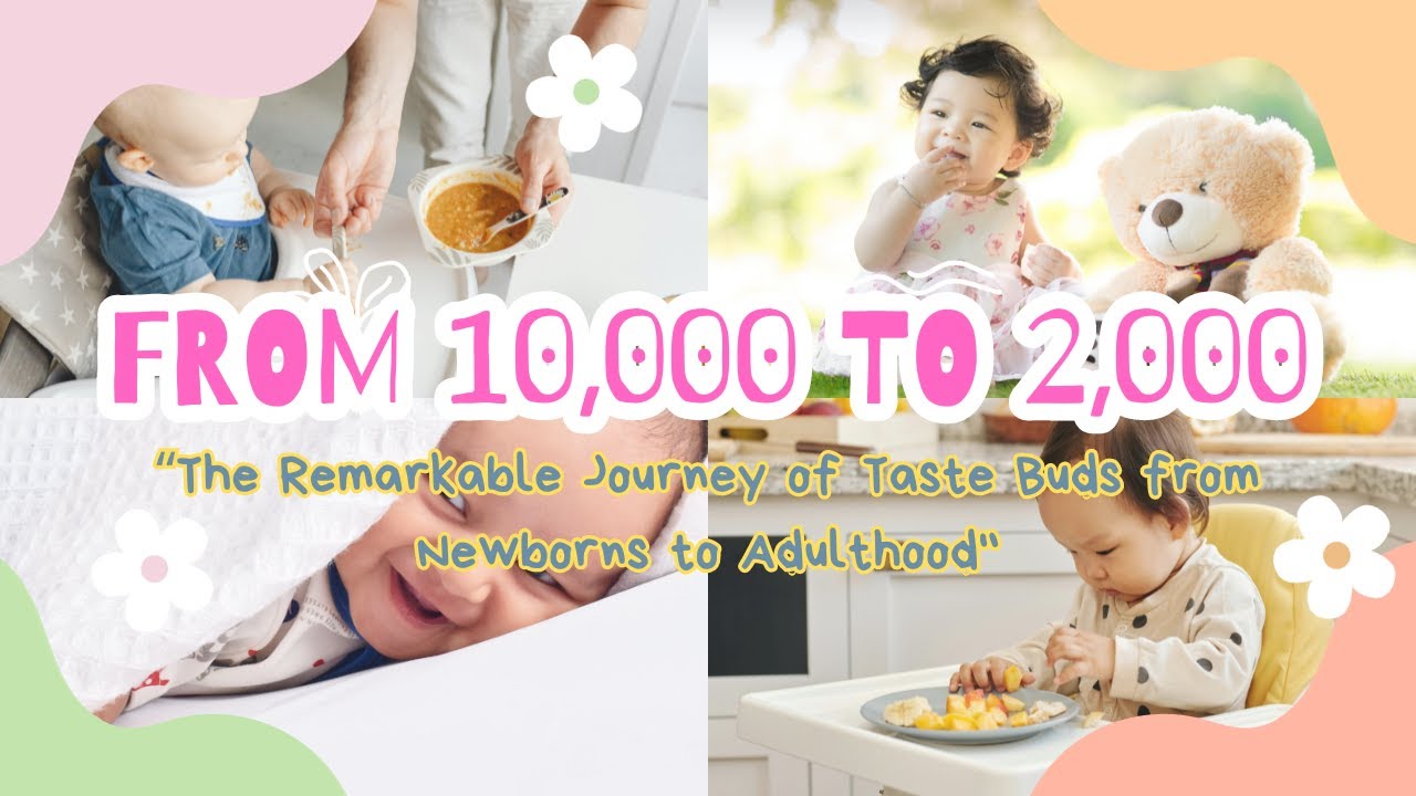 "From 10,000 to 2,000: The Remarkable Journey of Taste Buds from Newborns to Adulthood"