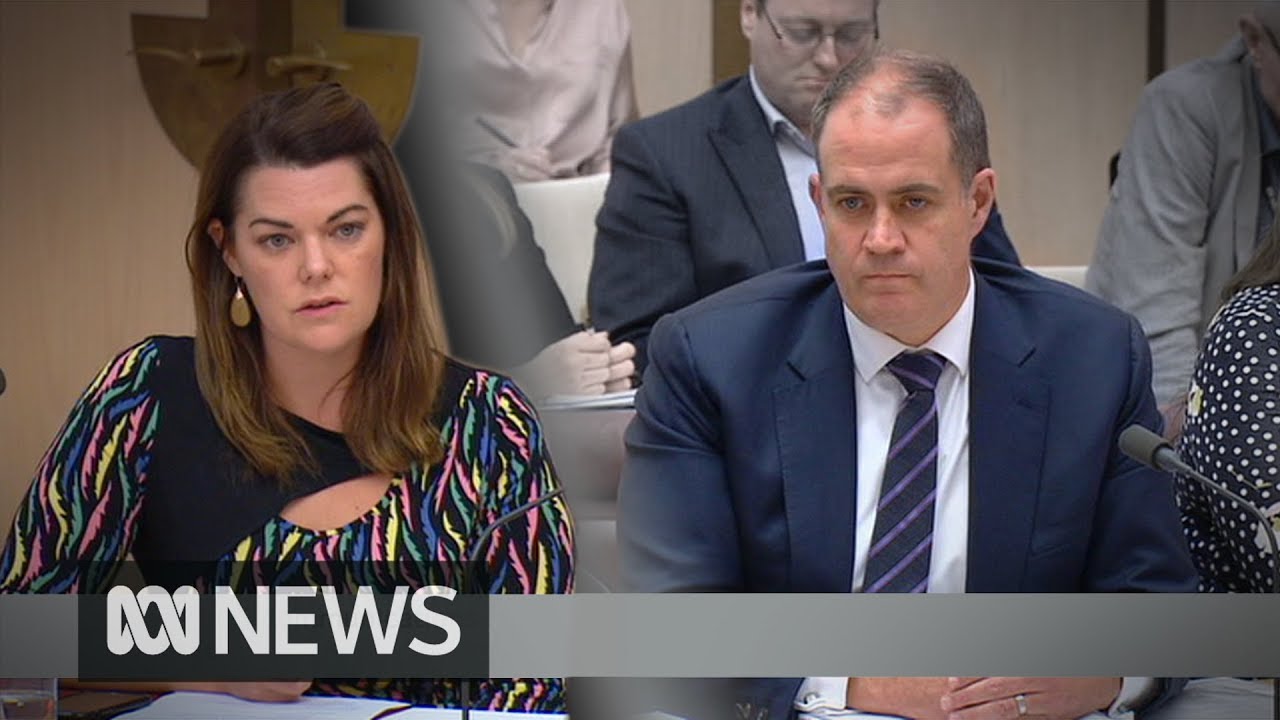 Michelle Guthrie sacking: David Anderson faces Senate estimates hearing | ABC News