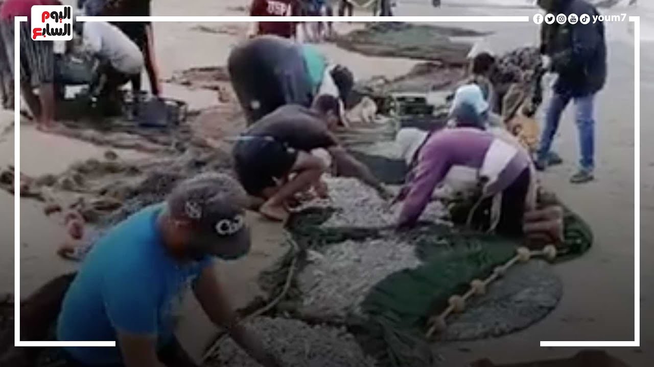 من وسط البحر الصيادين راجعين بتلال من الأسماك..رحلة الصيد ببورسعيد