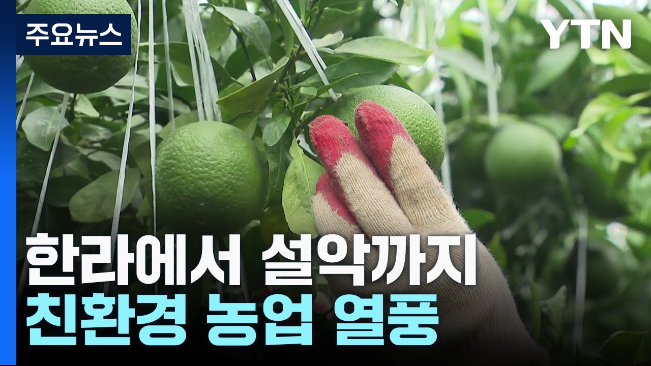 '한라에서 설악'까지 친환경 농업 열풍! / YTN