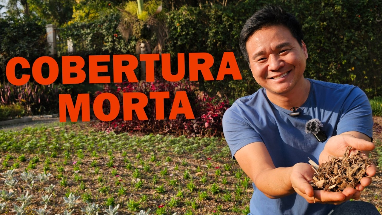 Cobertura morta ou Mulching - Proteja o seu solo