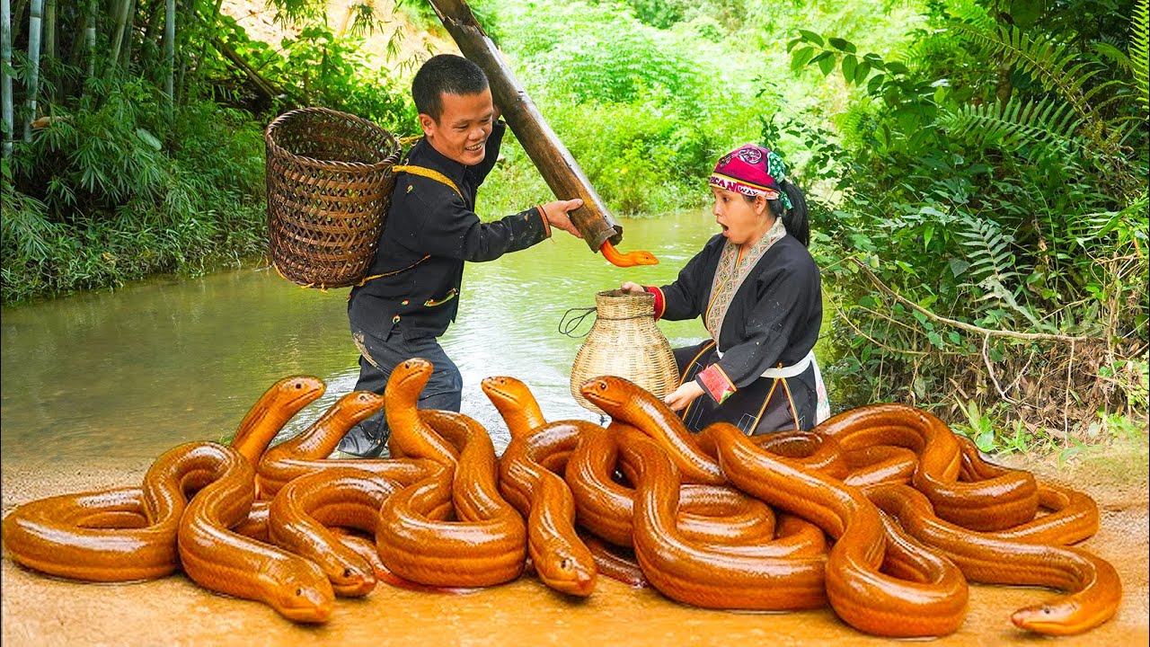 Dwarf Family Traps Eels Using Pumpkins | Catching and Cooking Eels | Life Off the Grid