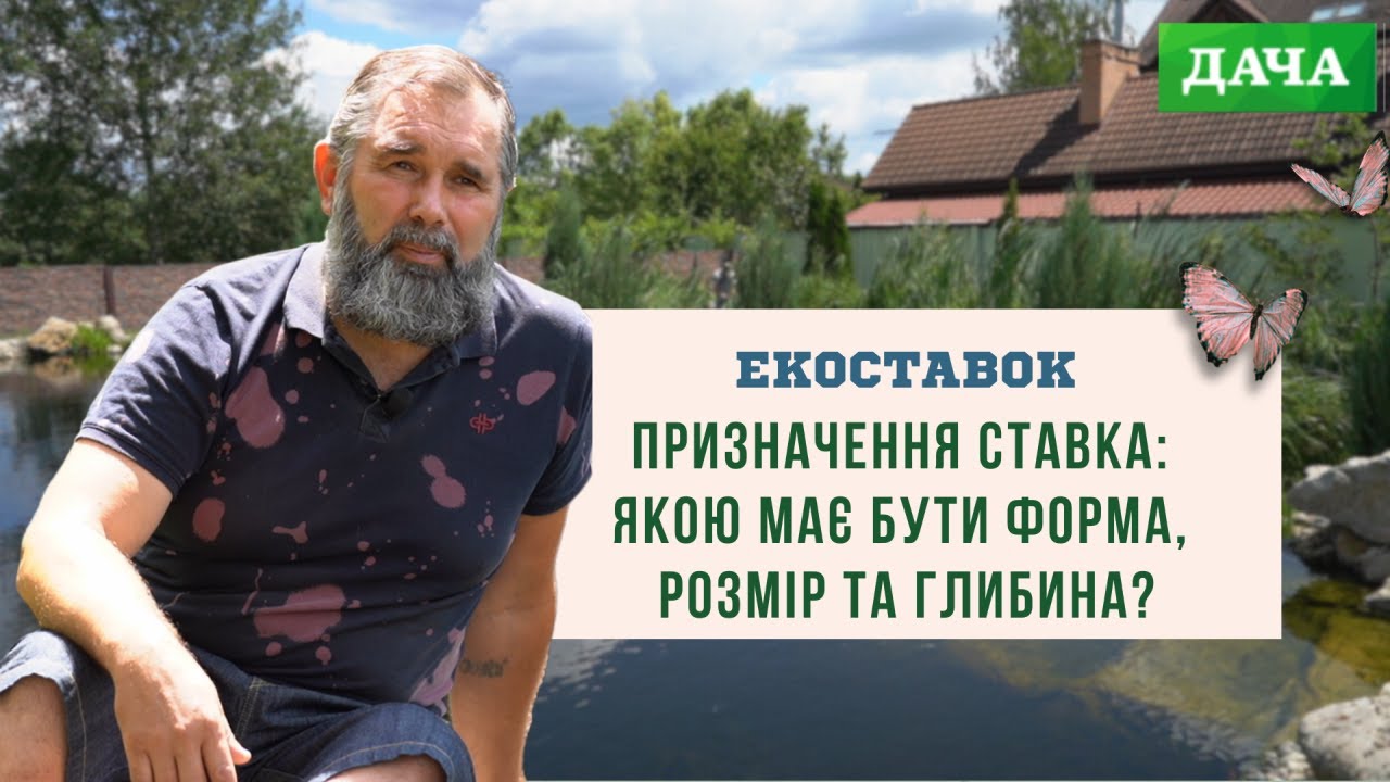 Призначення Ставка: Якою Має Бути Форма, Розмір та Глибина? Будуємо Ідеальний Ставок