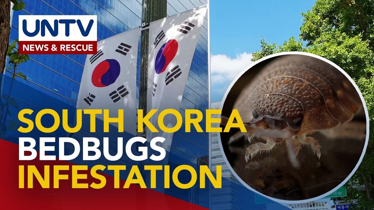 Surot sa buong South Korea, patuloy na dumarami