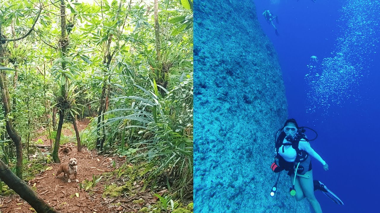 Top Snorkeling, Hiking, & Scuba Sites on Guam!