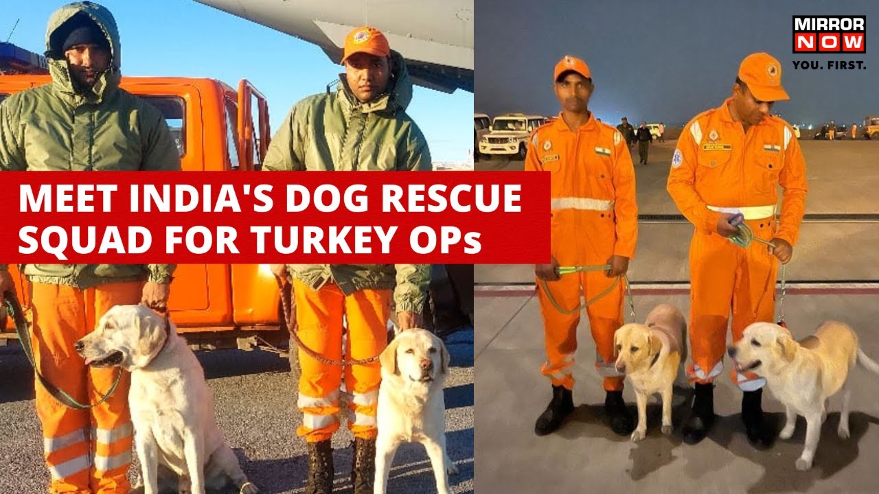 Turkey Earthquake: Meet India's Dog Rescue Squad For Turkey Operation