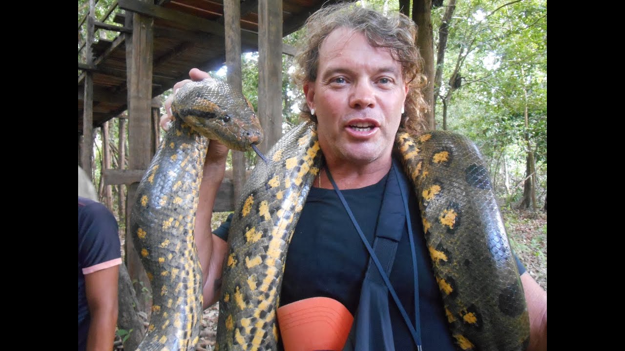 HD Ecopark Jungle Lodge - Amazon - Brazil - Manaus