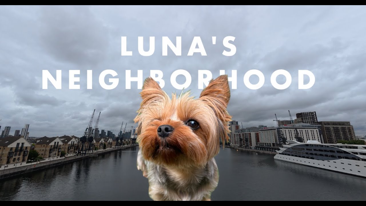 JOIN US! Our Daily Walk Adventure with Luna (You’re Invited!)