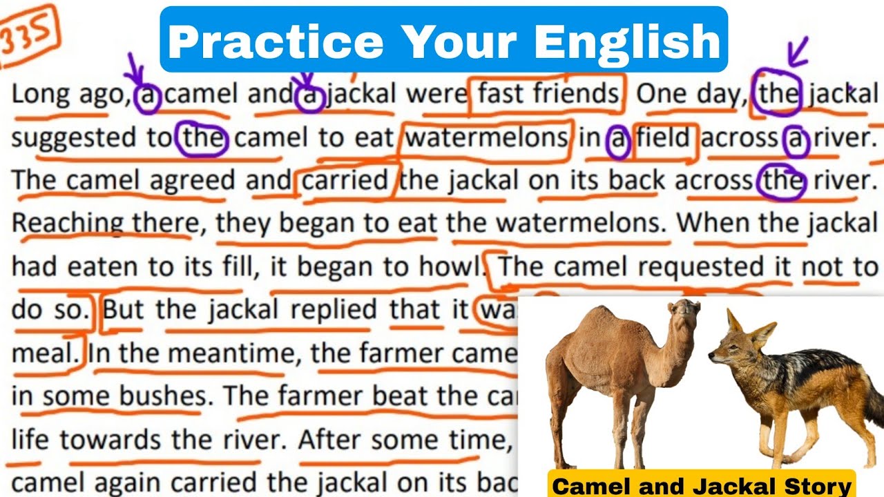 How to read a paragraph in English - Learn Story Reading Skills - Story in Past Tense