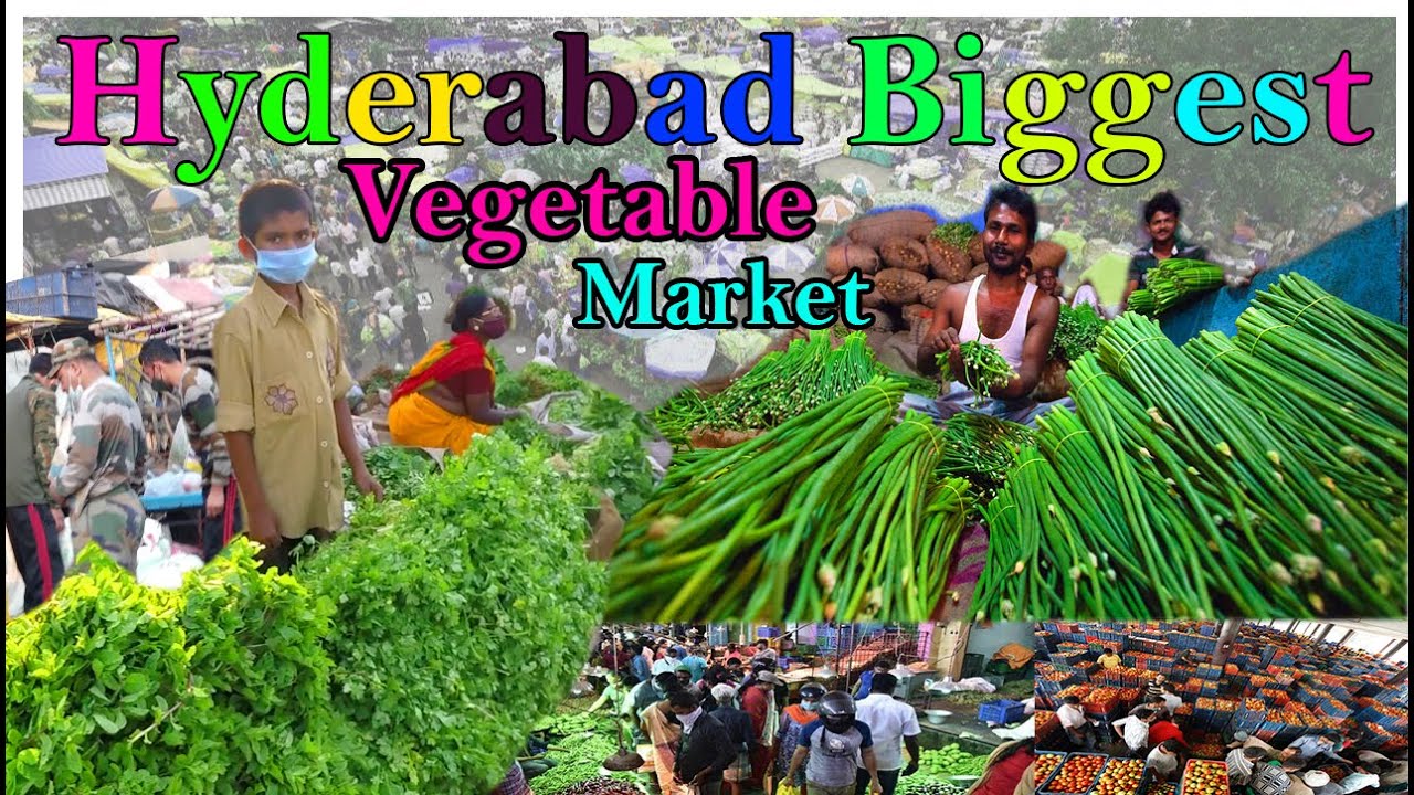 Hyderabad Biggest Vegetable Market | Gudimalkapur Vegetable Market | Explore Market | Travel With Me