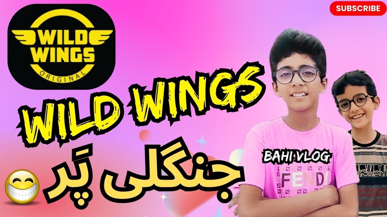 Wild Wings | Local Pakistani Food Brand | Food Review