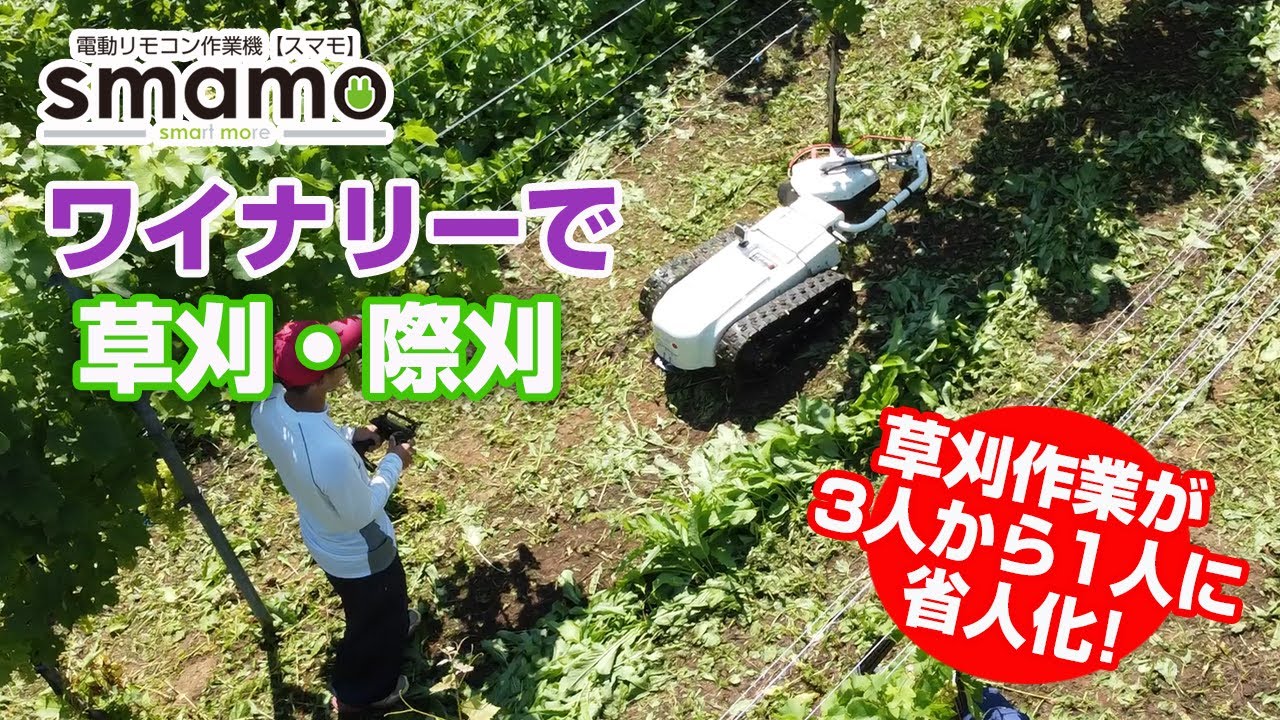 Sasaki 電動ラジコン作業機スマモ　ワイナリーで草刈・樹間の際刈り作業【草刈作業の人手不足解消】