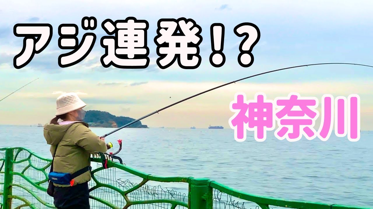 真冬の堤防でアジ連発!?釣れたお魚を計測した結果...【神奈川釣り】【2025.1】