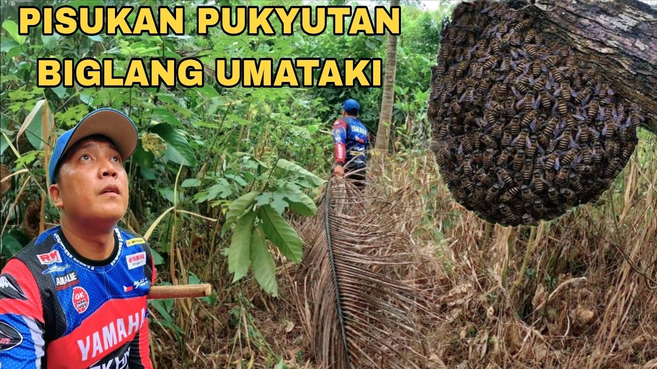 Ito Kinakatakutan sa Gubat Pukyutan Bigla tayong  inataki sakit sa likod