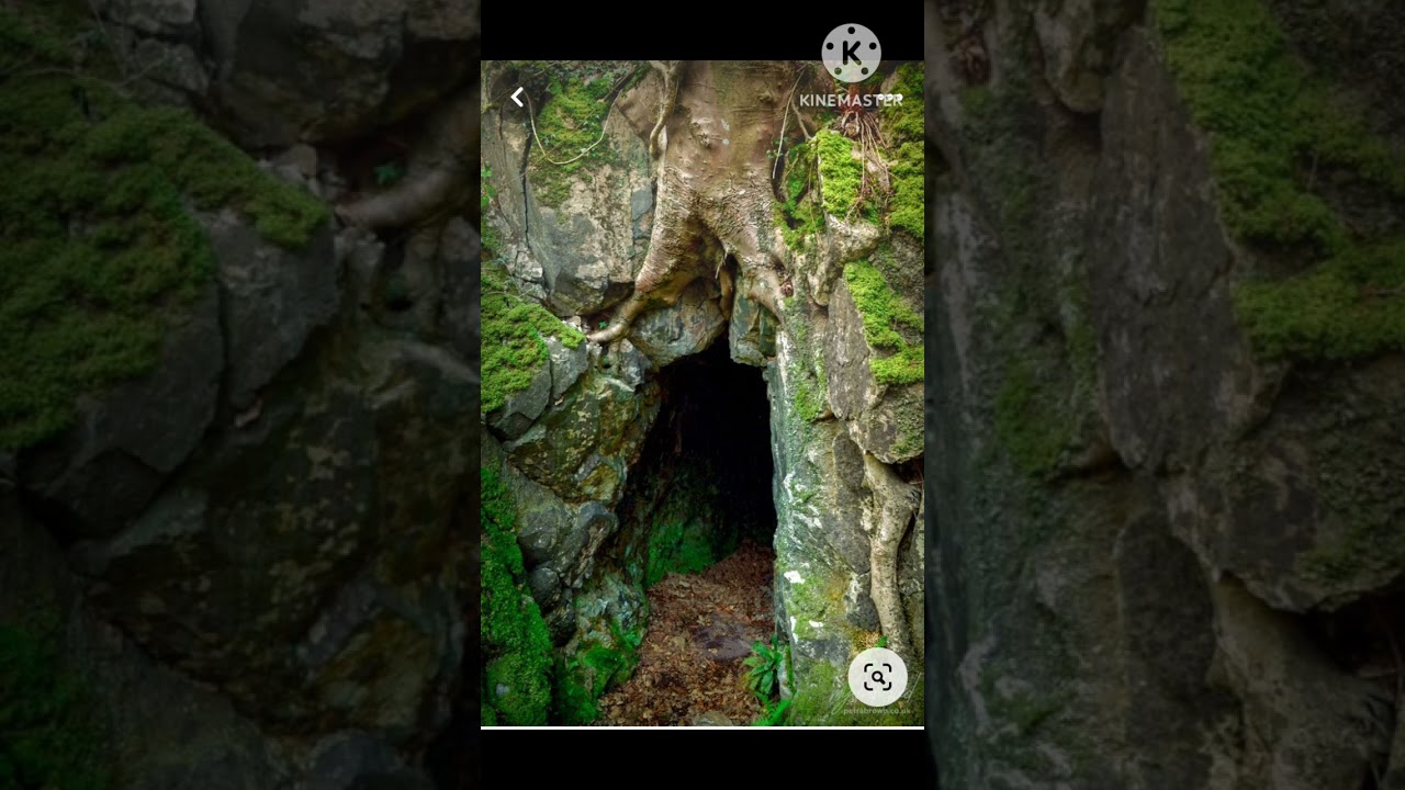 Dr Mabara..Nheuro dzaasekuru