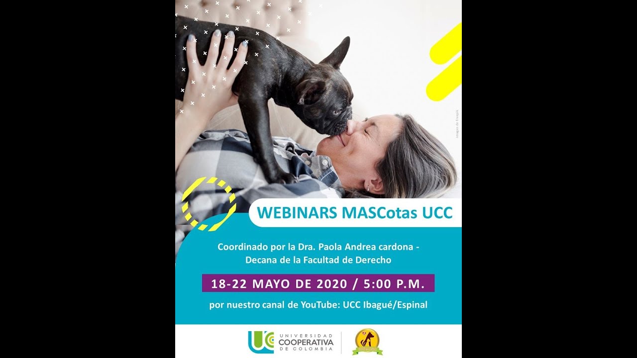 Importancia del Código de Protección Animal en Colombia