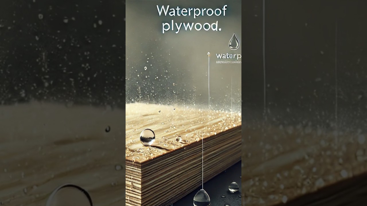 Types of Plywood Explained in 60 Seconds! #plywood #shorts
