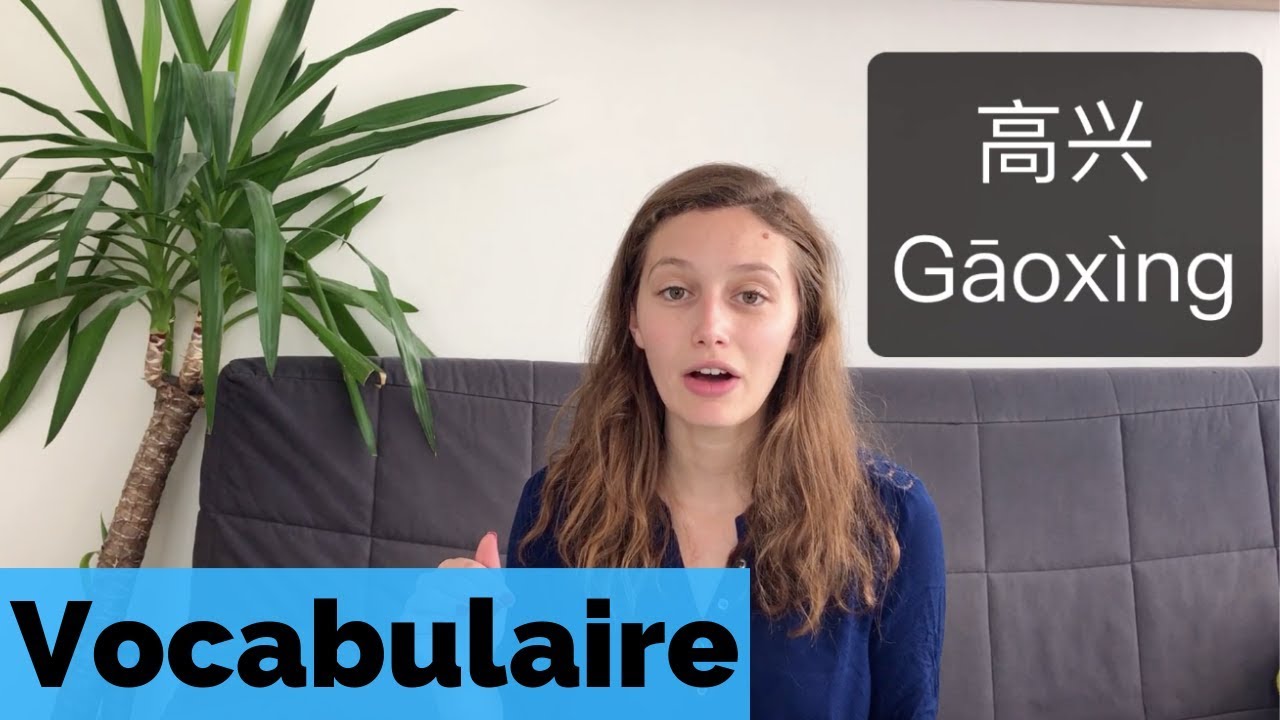 [Vocabulaire chinois de base] : les &eacute;motions 😳🤬
