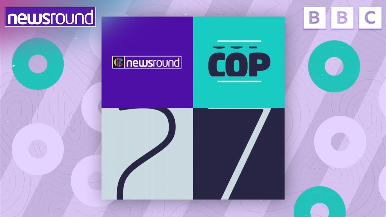 COP27: What is it and What do You Need to Know? 🌍 | Explainer | Newsround