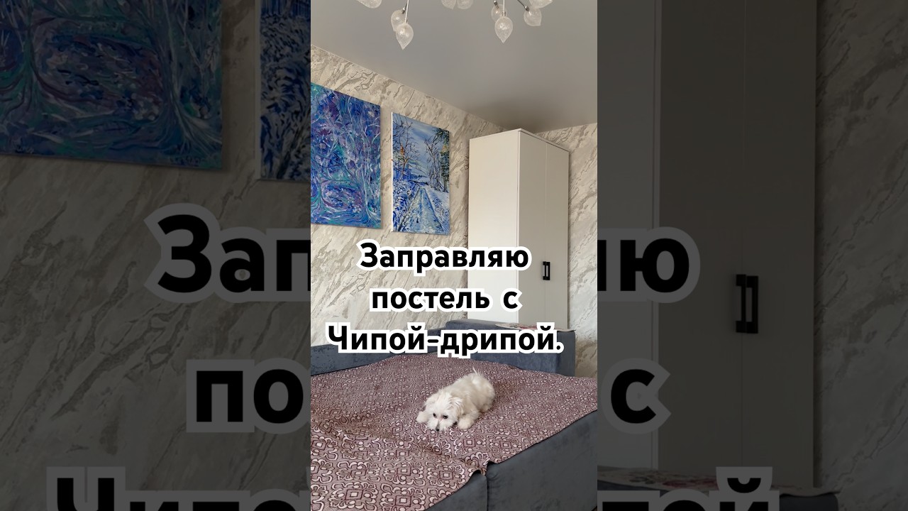 Заправляю постель с Чипой-дрипой 🐶 
