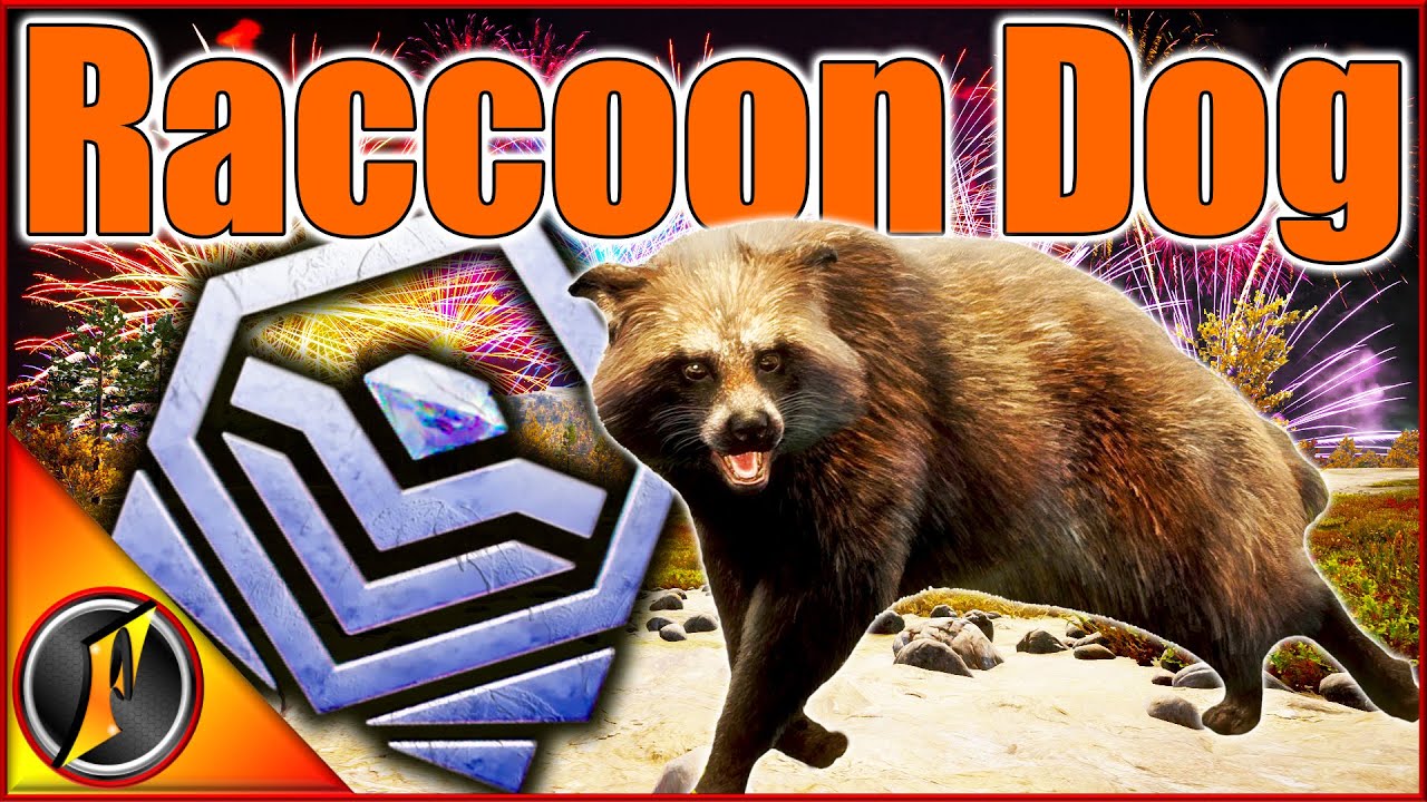 Может ли это быть?!?! АЛМАЗНАЯ енотовидная собака??? 😱