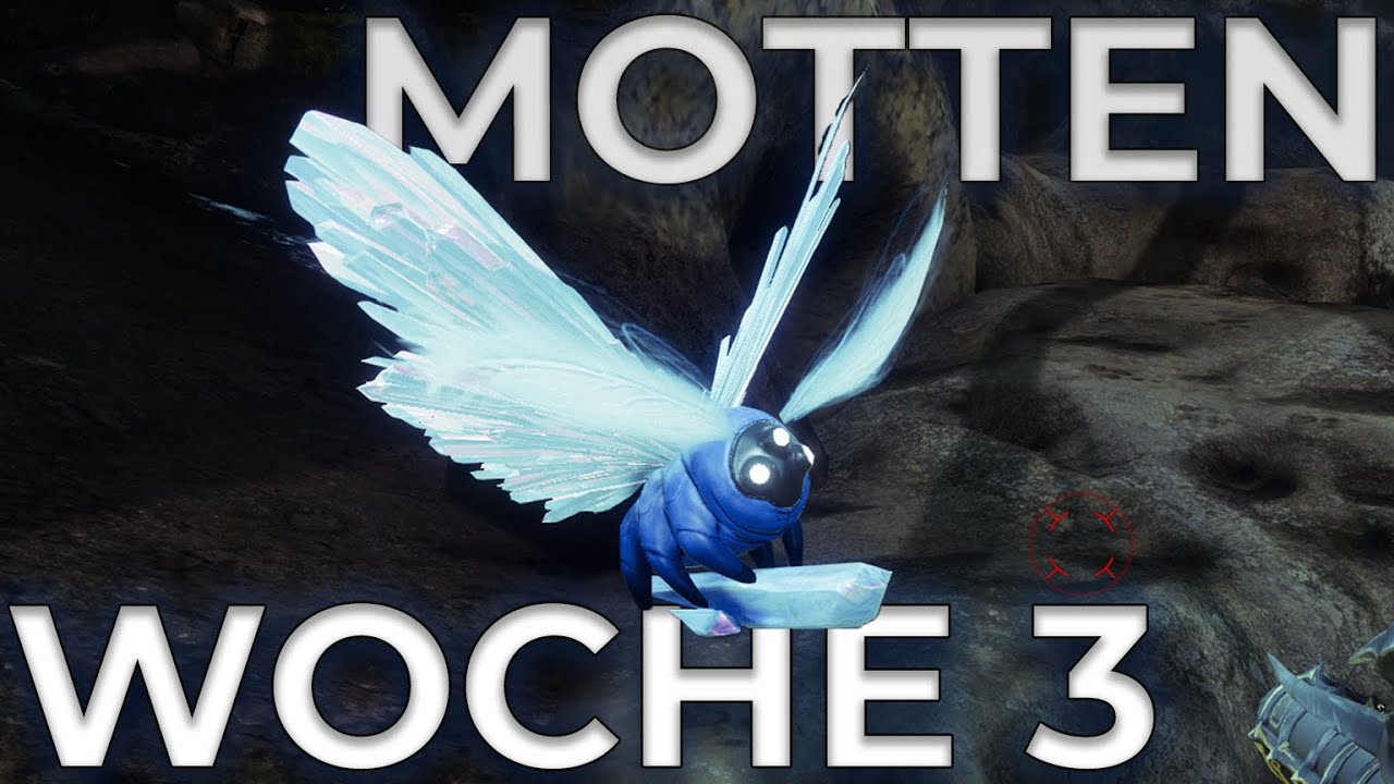 Alle MOTTEN der WOCHE 3 | Destiny 2