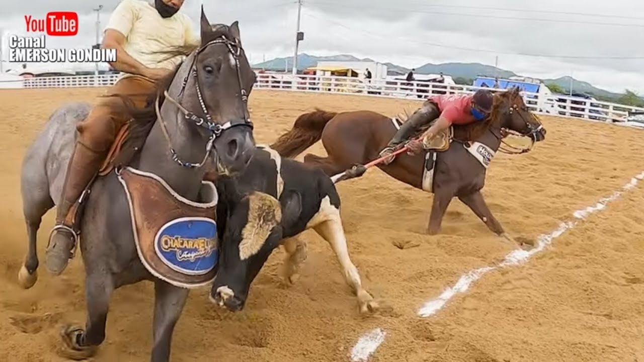 CLASSIFICAÇÃO PROFISSIONAL - VAQUEJADA PARQUE CICERA DOS SANTOS EM PAULIASTA  PARAÍBA