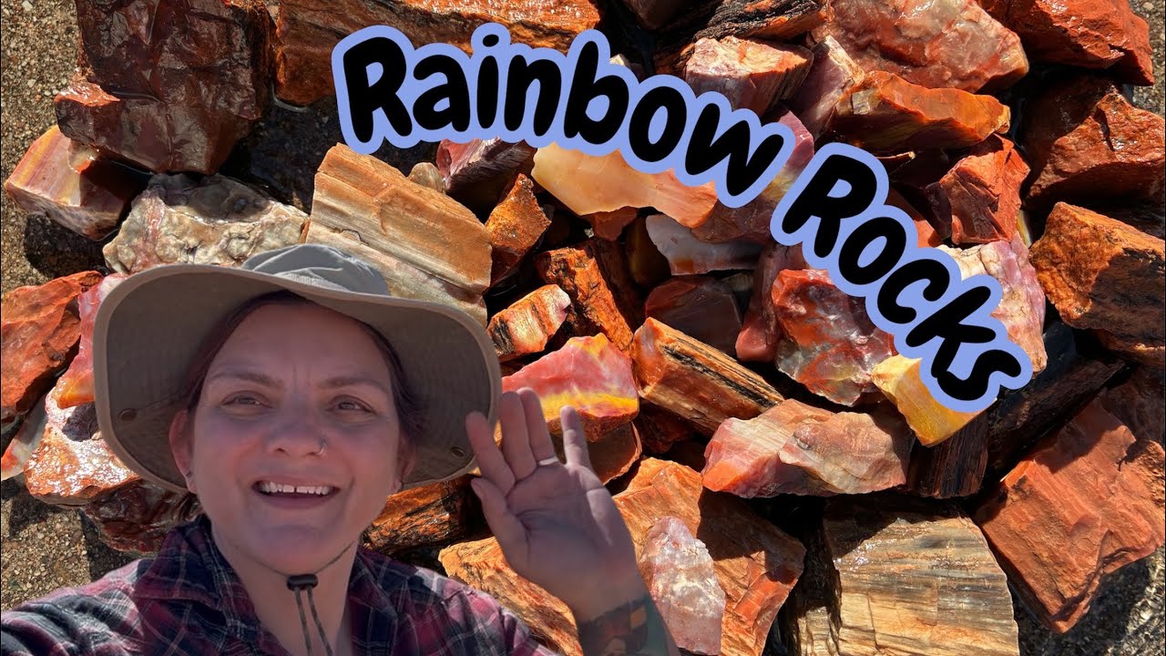 Very Colorful Petrified Wood