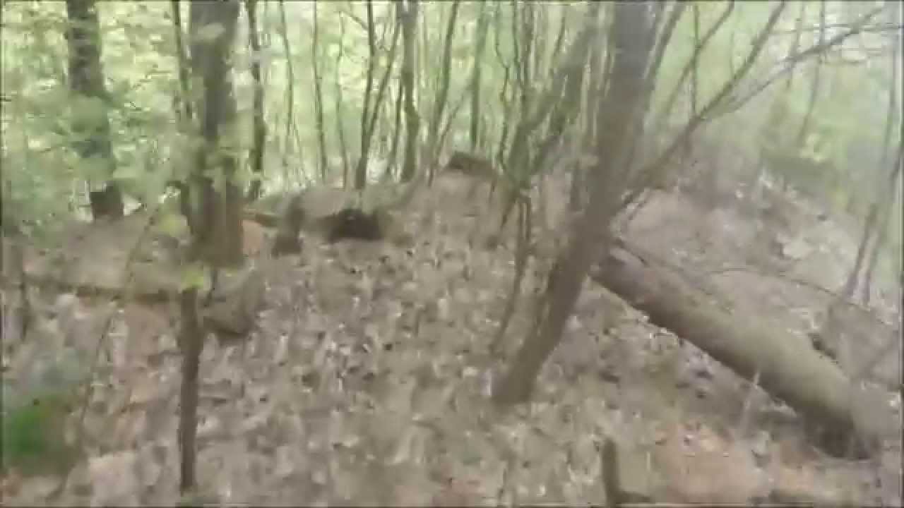 Singeltrail