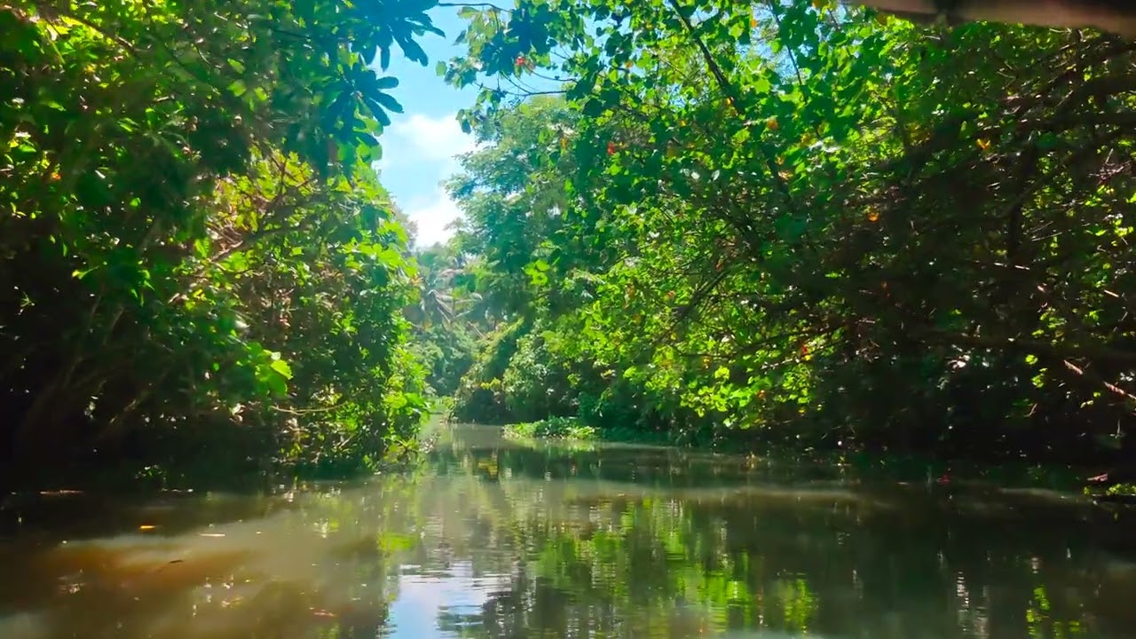 Poovar Backwaters Cruise,  Neyyar River,  Golden Island Beach