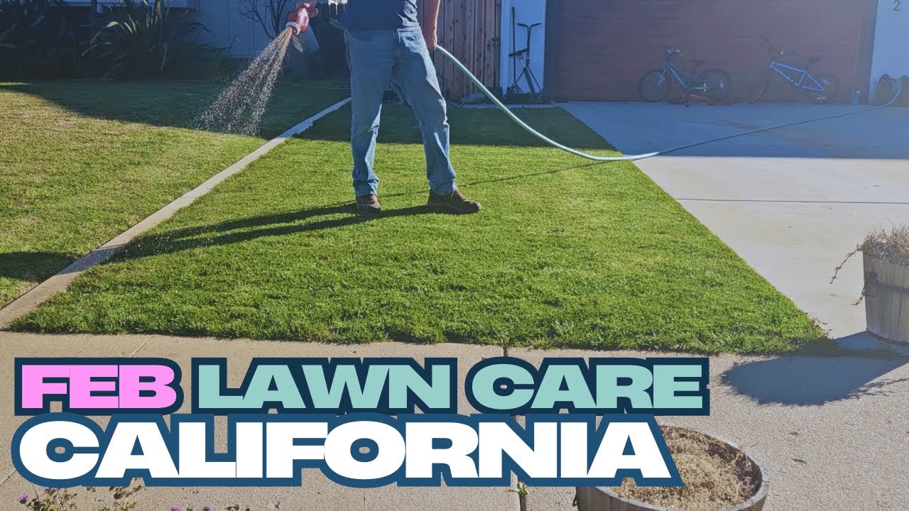 California!! Do this to your lawn in February