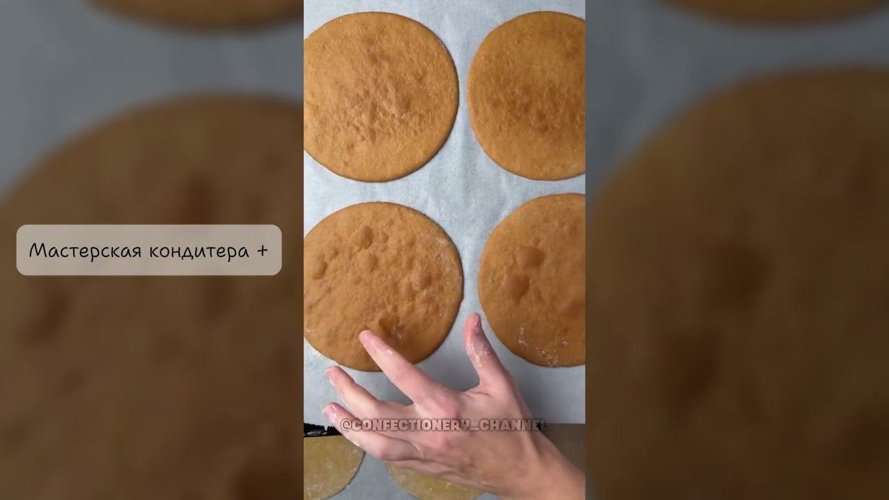 Техника раскатки теста на Медовик + Сборка торта от Ольги Бауэр #медовыйторт