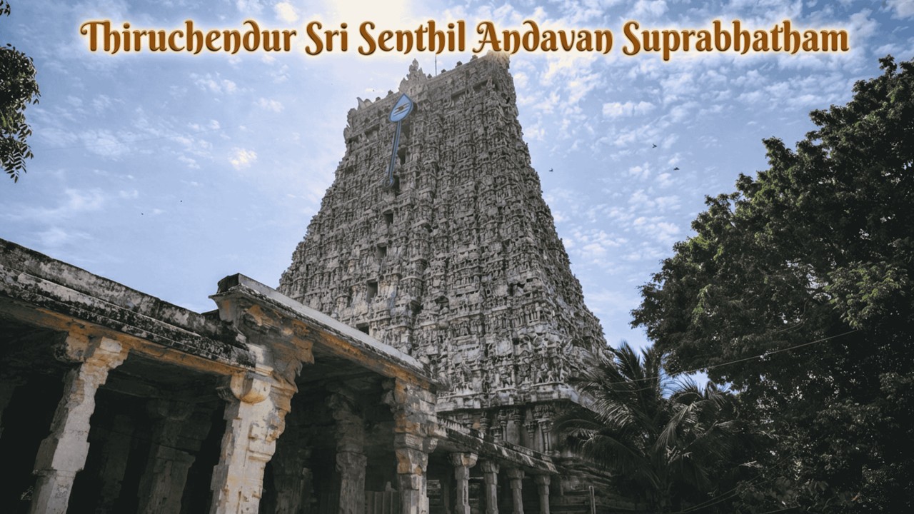 காலை வழிபாட்டிற்கு சிறந்த பாடல் | திருச்செந்தூர் முருகன் சுப்ரபாதம் | Tamil Meaning #tiruchendur