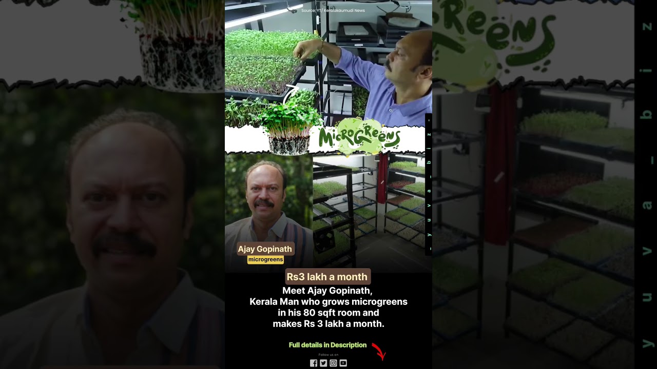 Meet Ajay Gopinath who earns Rs 3 lakh a month by micro greens #garden #farming #microgreens