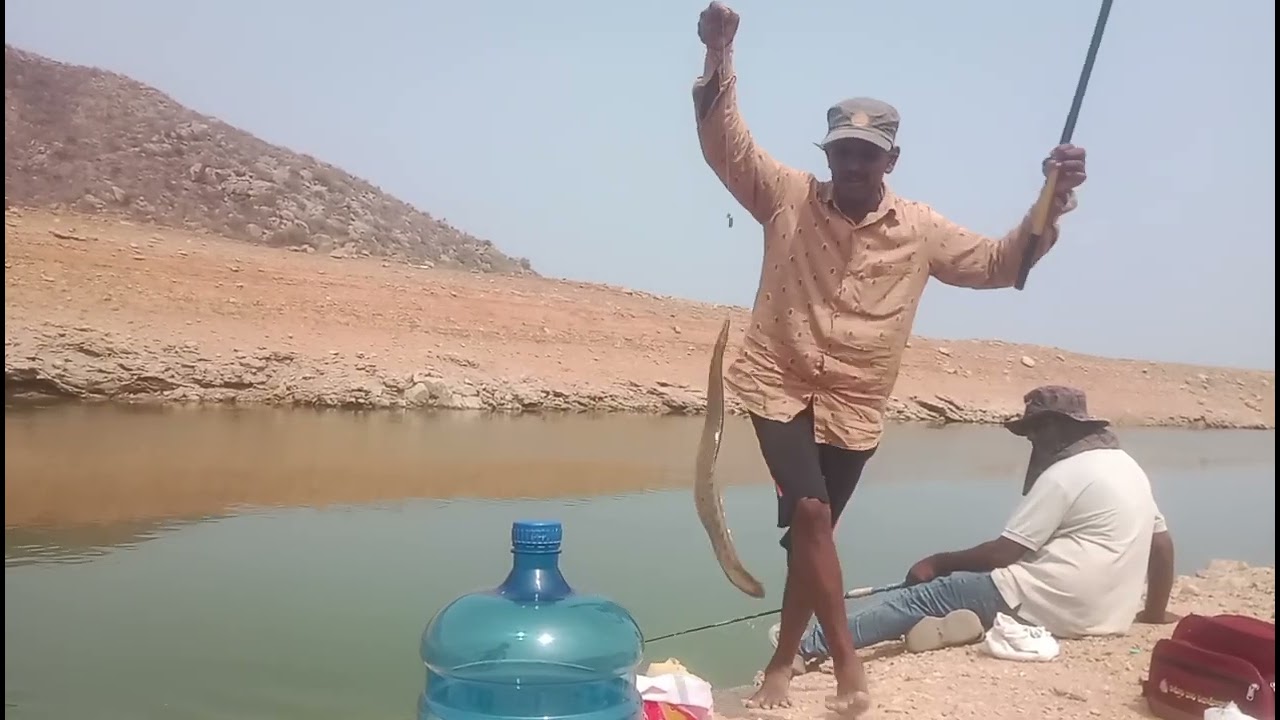 #fishing #nagarjunasagar #tilapia #shikar🌊🐟🎣🐬#youtubevideo