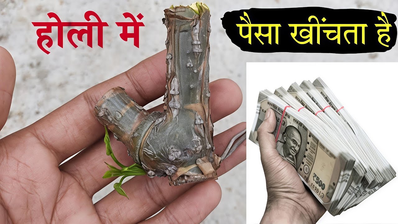 Holi ke 10 upay होली का यह टोटका मात्र 24 घंटे में बदल देगी आपकी दुनिया ? आगे आपके मर्जी