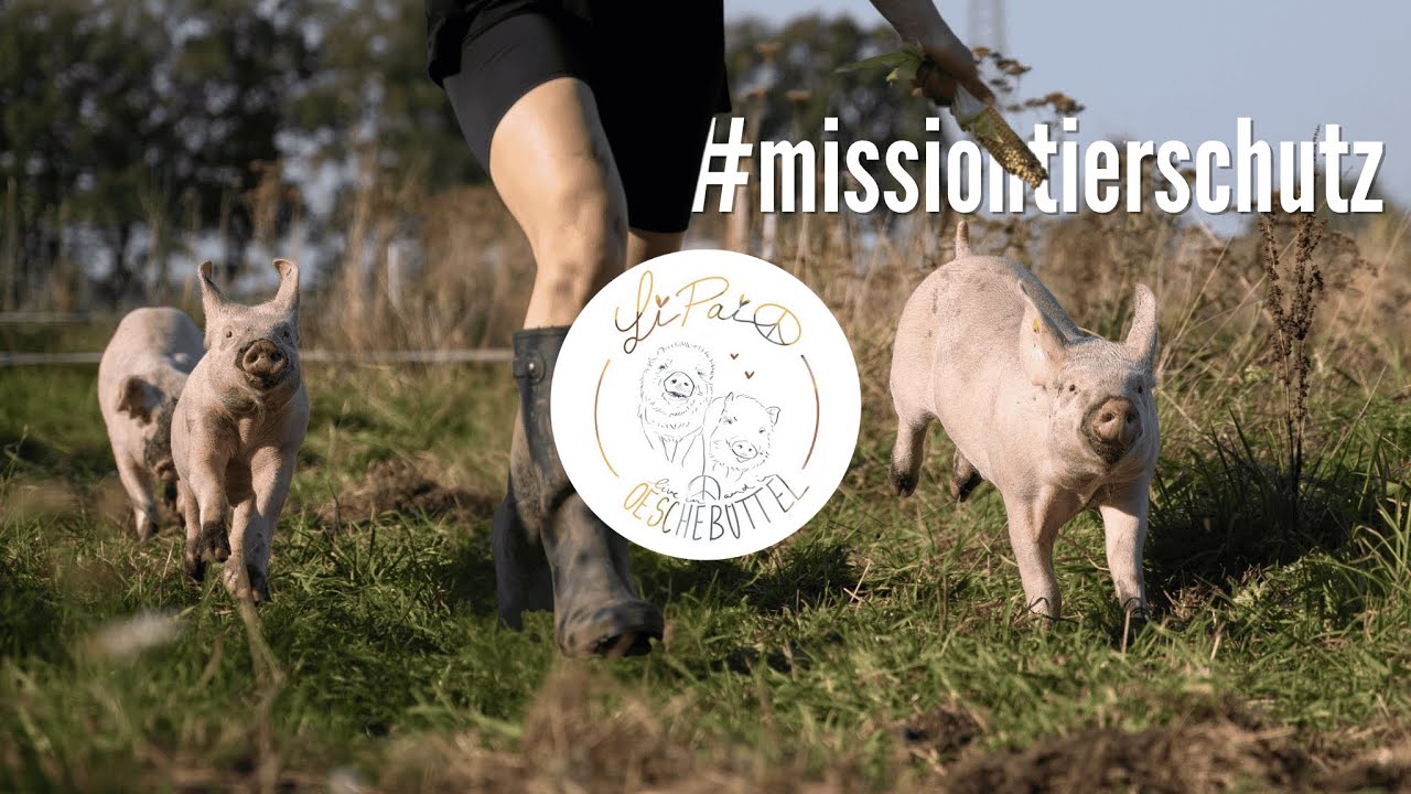 Lebenshof LiPaiO - Jedes Leben z&auml;hlt. #missiontierschutz